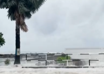 Stuhia “përbindësh”, uragani Beryl rrafshon gjithë ishullin, banorët: Theu rekorde!