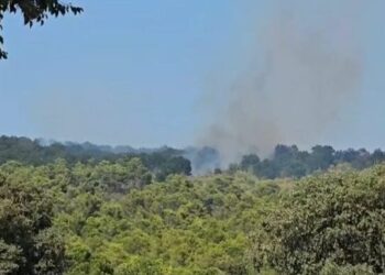 Zjarri përfshin malin e Shëngjinit, flakët favorizohen nga era e fuqishme