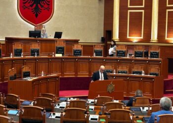 Metani prezanton në Kuvend raportin vjetor të ILD, ja evidentimet kryesore