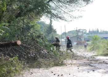 “Çmendet” moti/ Tirana “digjet” nën të nxehtin afrikan, në Elbasan stuhi dhe shira të rrëmbyeshëm, erërat e forta shkulen pemët