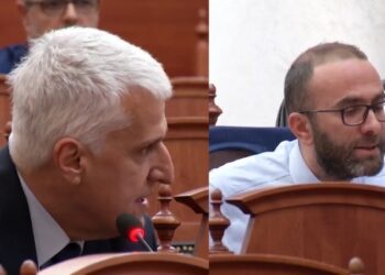 Vota e Diasporës, Majko-opozitës: Zbatoni vendimin e Kushtetueses. Bardhi: E nxitëm ne procesin