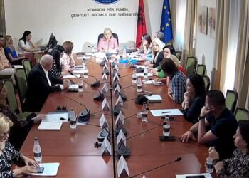 Skandali tek Onkologjiku, tensione në Komisionin e Shëndetësisë, deputeti socialist: Jeni një gërnete e thyer, që….