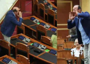 “Shëngjini po digjet, ju merreni me llafe”/ Hipi mbi karrige në seancën e fundit në Kuvend, Dashnor Sula: Doja të tërhiqja vëmendjen e …