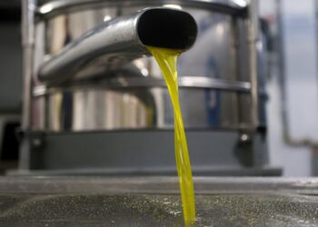 Gati rregullorja e re për vajin e ullirit, detyron prodhuesit të ndryshojnë metodën e prodhimit ose…