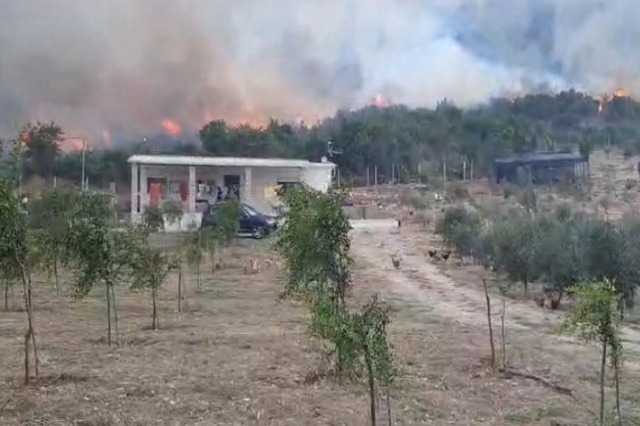 Vatër zjarri në Tepelenë, flakët djegin një sipërfaqe me bimësi, rrezikohen banesa