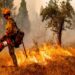 Mijëra të evakuuar në Kaliforninë veriore, shkak zjarret masive