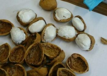 Shqiptarët “shpikin” metodën e re të trafikut të drogës, kapen në Gjermani me kokainë brenda lëvozhgave të arrave dhe kikirikëve