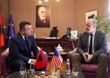 Balla takim me Wisner: Bashkëpunim i shkëlqyer, SHBA na ka mbështetur për forcimin e kapaciteteve në sfidat e sigurisë