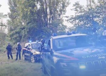 Trafik droge nga Shqipëria, 14 urdhër arreste në Itali, mediat: Kokaina prodhohet në jug të Shqipërisë