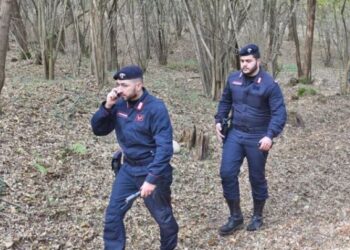 U nis për të grabitur, 42-vjeçari italian plagos me thikë shqiptarin, dyshohet se…