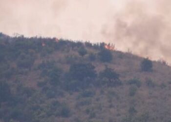 Situata me zjarret në vend/ “Shtatë vatra ende aktive” Peleshi: Ja ku hasim problematika (VIDEO)