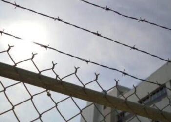 “Më jep 1 mijë euro ose…”/ Krijuan grup të strukturuar dhe u vinin gjoba të burgosurve në Greqi, e pësojnë tre shqiptarët