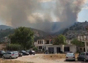 Zjarri në Dropull zbret mbi fshatin Sofratikë, flakët rrezikojnë banesat