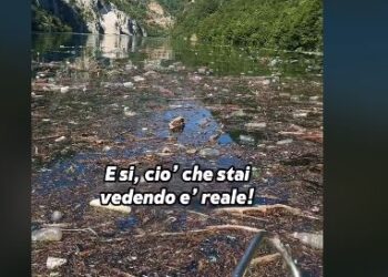 VIDEOLAJM/ Turistja italiane denoncon ndotjen skandaloze në liqenin e Komanit