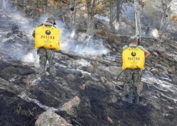 Situata me zjarret\ Ministria e Mbrojtjes publikon të dhënat: Në 24 orë u raportuan 23 vatra, pesë mbeten aktive