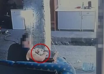 “Ndal”/ Ktheu servisin e makinave në fole droge, momenti kur policia kap në flagrancë 42-vjeçarin në Vlorë (VIDEO)