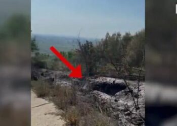 Ndezi zjarr për të djegur mbeturinat, por dogji pyllin, arrestohet 33-vjeçari në Lezhë