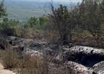 Zjarret në Lezhë, Balla: 4 vatra janë vënë nën kontroll, në Shëngjin zjarrfikësit po luftojnë me flakët