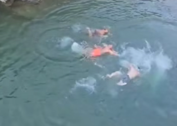 VIDEOLAJM / Ilir Meta hidhet nga shkëmbi, tre truproja turren me not ta nxjerrin nga uji