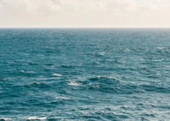 Mbytet në det shqiptari në Greqi, ende nuk dihet shkaku