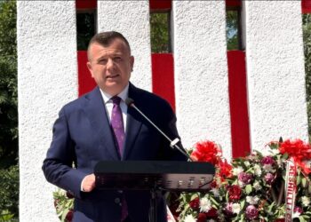 Në nderim të 14 korrikut, ngjarjeve historike në Poçem, Balla: Historia mund të komentohet, por nuk mund të ndryshohet