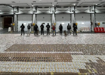 Kapet kokainë me vlerë 200 milionë dollarë në kontejnerin me banane, zbulohet destinacioni i drogës