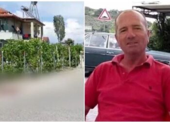 Vrau kunatën me sëpatë, Gjykata e Elbasanit dënon me burgim të përjetshëm Tefik Tashin