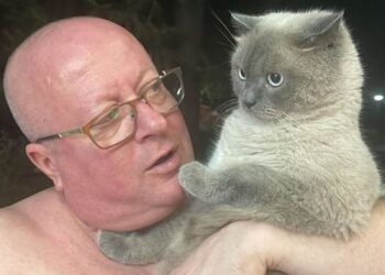 “Nuk shkon në Gjykatë se ka thyer gishtin”, Gjokutaj me këmbën në allçi: S’tërhiqem nga çështja e Berishës, por…