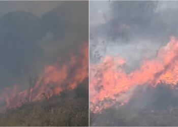 Zjarr masiv pranë Gjirokastrës, banorë dhe zjarrfikës në luftë për shuarjen e flakëve, dyshohet se…