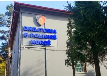 Transportonte emigrantë të paligjshëm/ Tentoi të korruptonte policin, e pëson drejtuesi i fugonit