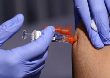 Gripi i shpendëve, SHBA do paguajë 176 milionë dollarë për vaksinën kundër tij