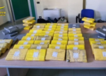 Kapet shqiptari me 80 kg kokainë në Itali, droga kapte vlerën e 8 mln euro në treg