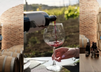 Shqipëria e 4-ta në Europë me vreshtat më të bukura!