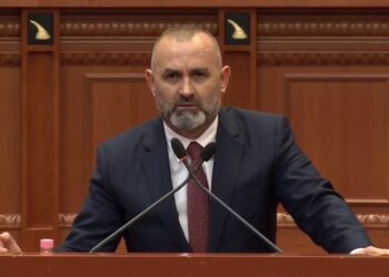 Mashtrimi me mikrokreditë\ Manja: Kallëzuam në prokurori 12 përmbarues dhe dy shoqëri mikrokredie