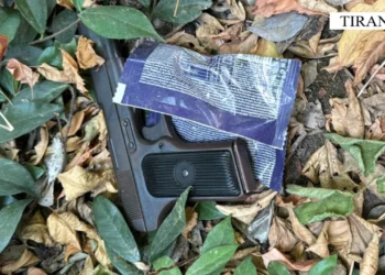 Plagosja në lokal gjatë festës, arrestohen dy persona, policia zbardh detajet e ngjarjes