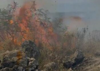 Zjarr në Konispol, forcat zjarrfikëse dhe policia në vendngjarje (VIDEO)