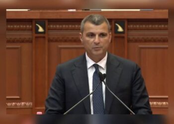 “Nuk janë firma piramidale”/ Sejko për mikrokreditë: Vetëm 10 % e tyre është arkëtuar