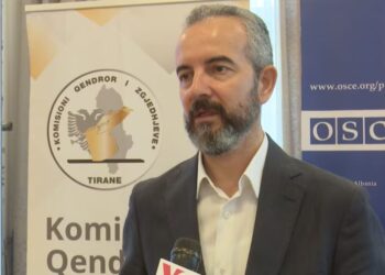 “Ndryshimet në Kodin Zgjedhor të vonuara”, Celibashi për VOA: Votimi i Diasporës duhej futur në ligj një vit më parë