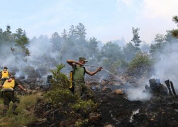 VIDEO/ Forcat e Armatosura apel qytetarëve: Shmangni çdo pakujdesi që mund të shkaktojë zjarr!