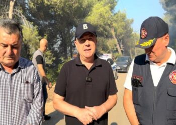 Vijon Operacioni për zjarrin në Shëngjin, Balla del në terren: Mirëadministrim i forcave për situata edhe më të vështira