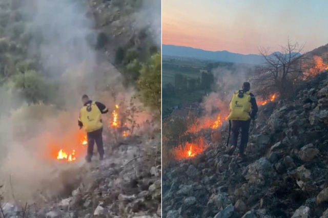 Dy vatra zjarri aktive në Shkodër, era e fortë përkeqëson situatën