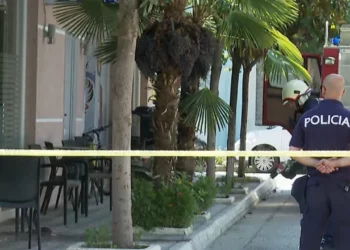 Vrasës me pagesë për eliminimin e Shyqo Kalemit, prej ditësh studiuan zonën dhe…