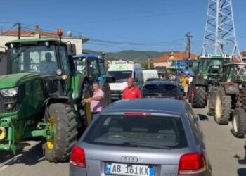 Prodhimet stok\ Fermerët e Maliqit protestojnë, tentojnë bllokimin e rrugës