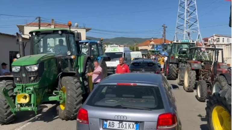 Prodhimet stok\ Fermerët e Maliqit protestojnë, tentojnë bllokimin e rrugës