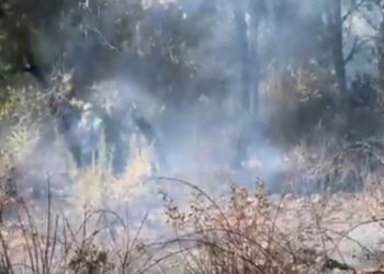 Banorët dhe pushuesit po kthehen në Shëngjin, zjarret nën kontroll, por ka dëme të shumta