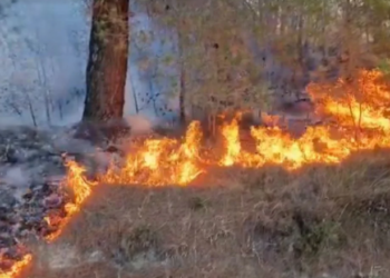 Temperaturat e larta, Ministri Peleshi: 15 vite burg për zjarrvënien e qëllimshme!