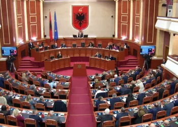 Grusht shteti në Parlamentin e Shqipërisë!
