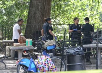 Panik në park! Qëllohet me armë zjarri, një i vdekur dhe një i plagosur