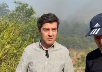 Zjarri në Maliq djeg rreth 100 hektarë pyje dhe shkurre, Prefekti: Janë angazhuar edhe forcat e Ushtrisë