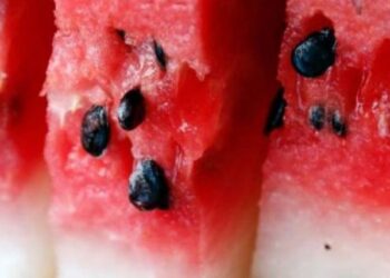 Mos i hidhni! A e dini se farat e shalqirit luftojnë këto sëmundje të përhapura